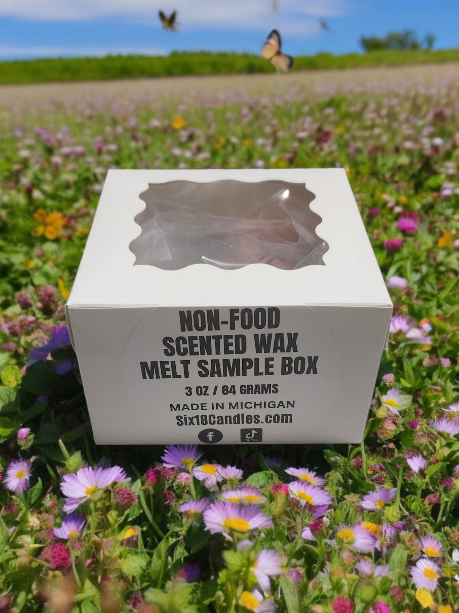 Wax Melt Sample Box